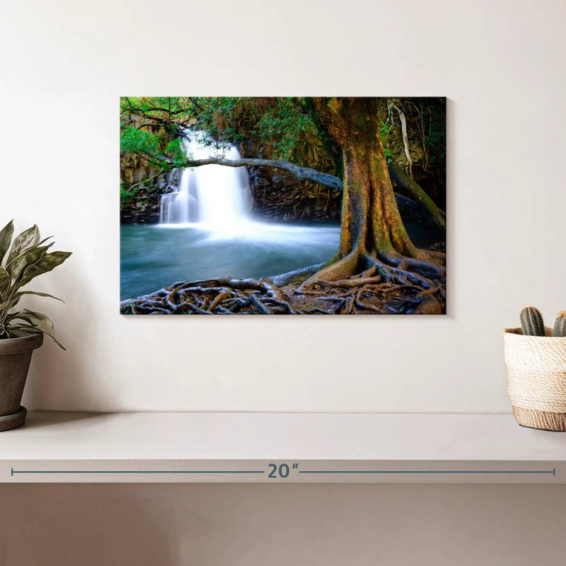 Cascade de l'ancien arbre d'Alvord Maui, H 8 po x l 12 po
