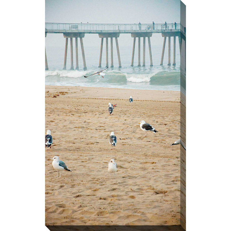 «Seagull Coast», reproduction de photo, H 30 po x l 18 po x P 1 po, Toile tendue