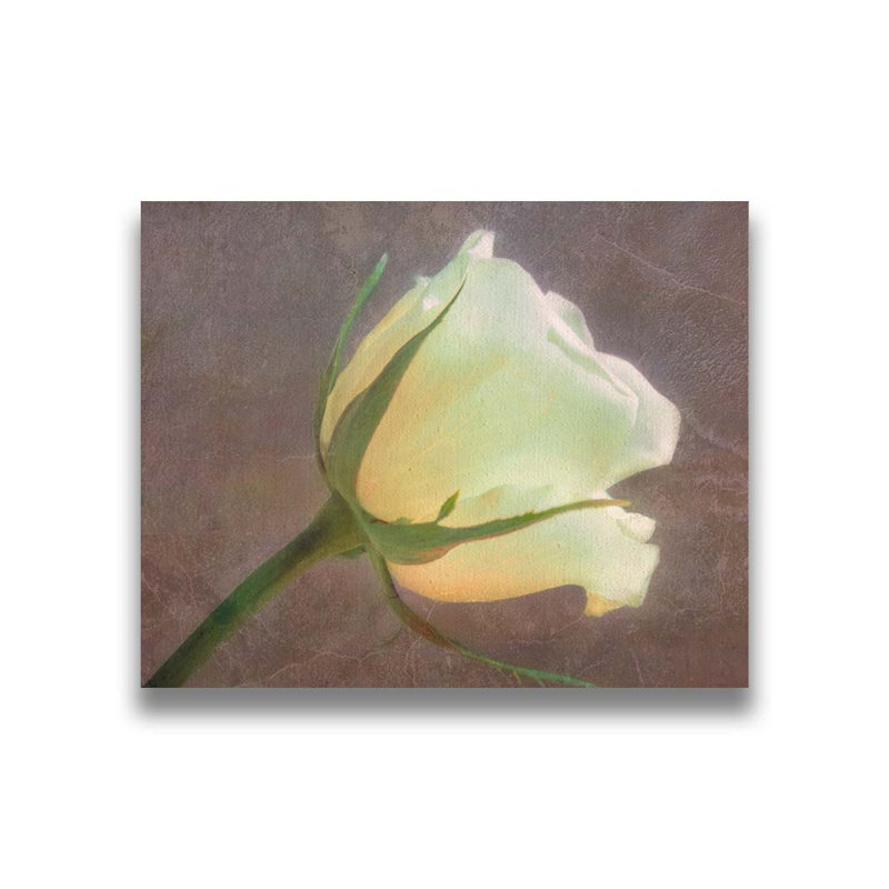 Rosewall par Hal Halli. Toile giclée sur toile avec cadre flottant, H 32 po x l 40 po, Toile tendue, Ne s’applique pas