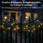 Holiday Lighting