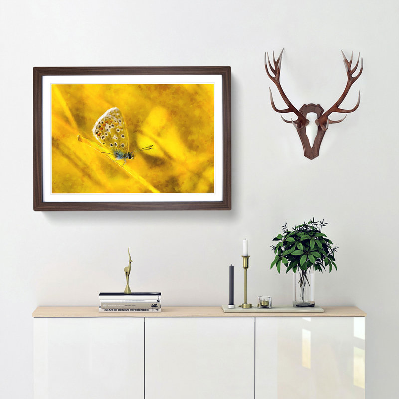 Yellow Butterfly - Picture Frame Painting Print, Walnut Framed, 40cm H x 60cm W x 2cm D