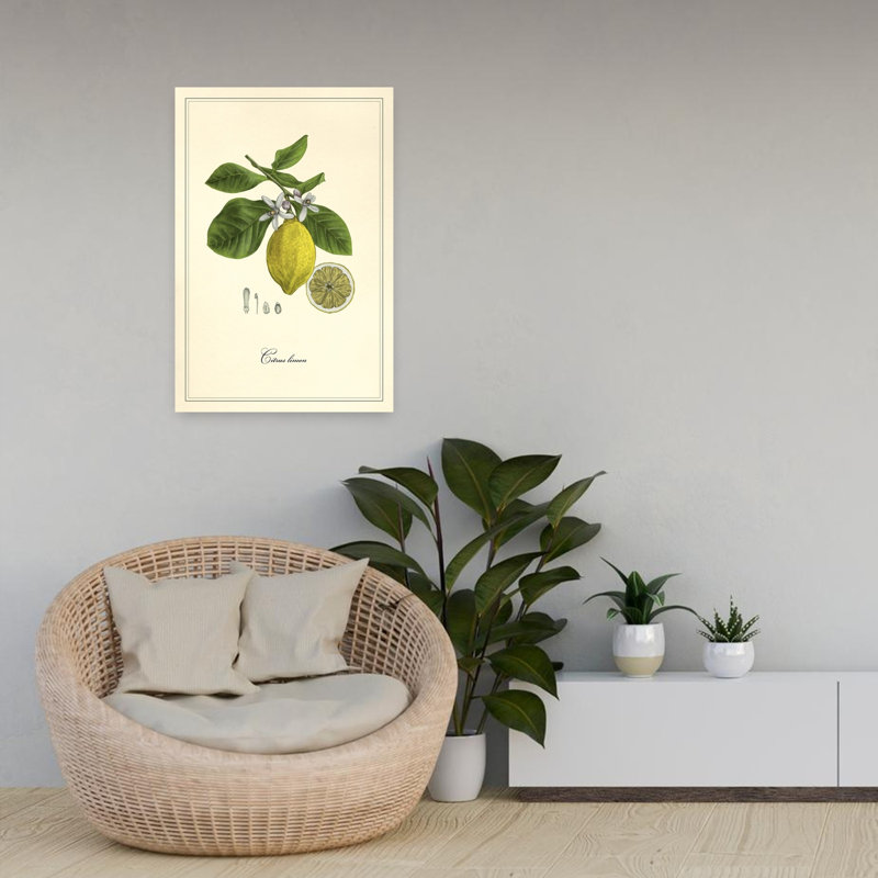 Citron et fleurs rétro, art floral rétro, H 24 po x l 16 po