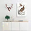 Quail And Partridge Illustrations by John Edward Gray - Wrapped Canvas-55322310