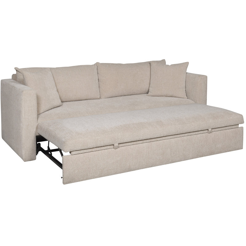Addley Sleeper Sofa, Worthy Snow