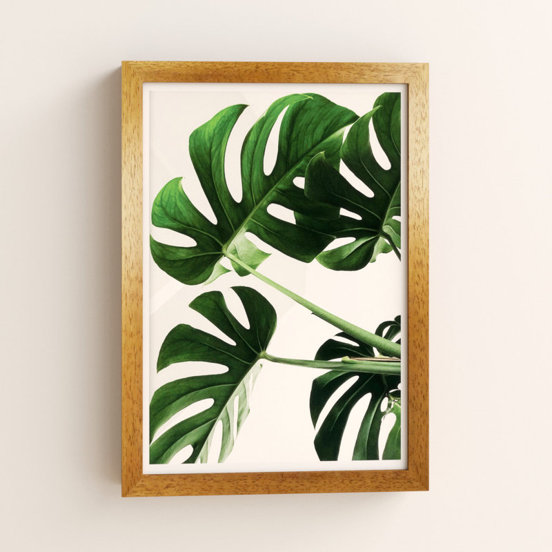 Monstera Leaf - Print, Honey Oak Frame, 42 cm H x 30 cm W x 5 cm D