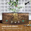 Metal Raised Garden Bed-449169151