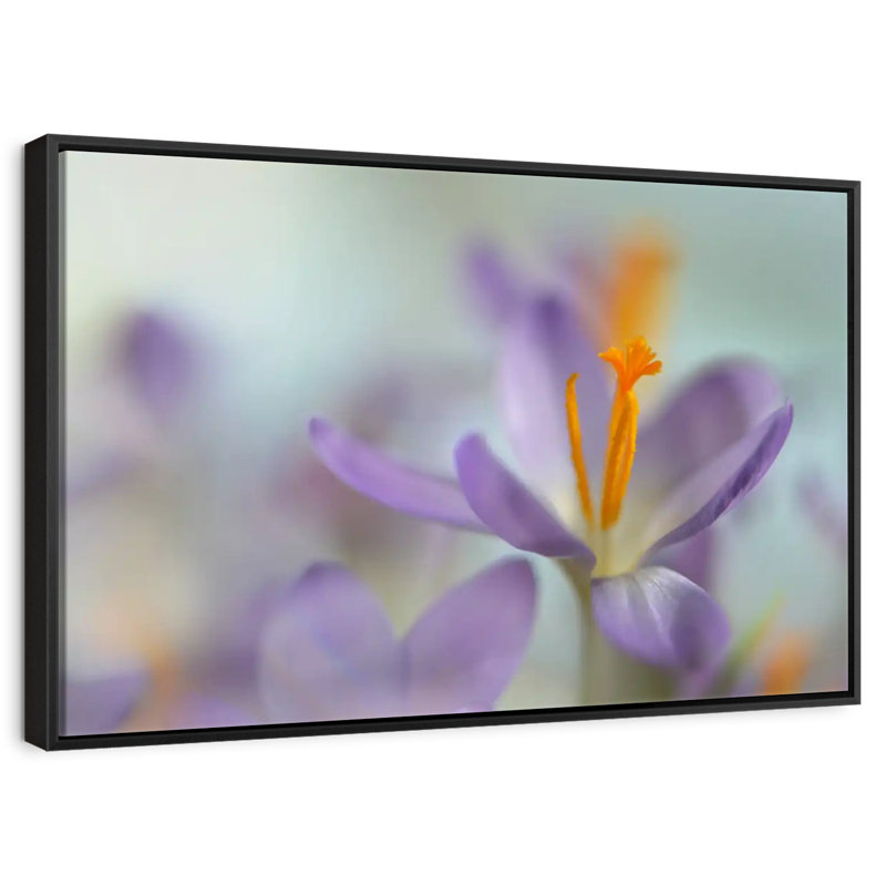 Pastel Spring, 25" X 17", Floating Frame Black