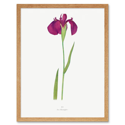 Japanese Water Iris Flower Floral Stem 1 Piece Wall Art