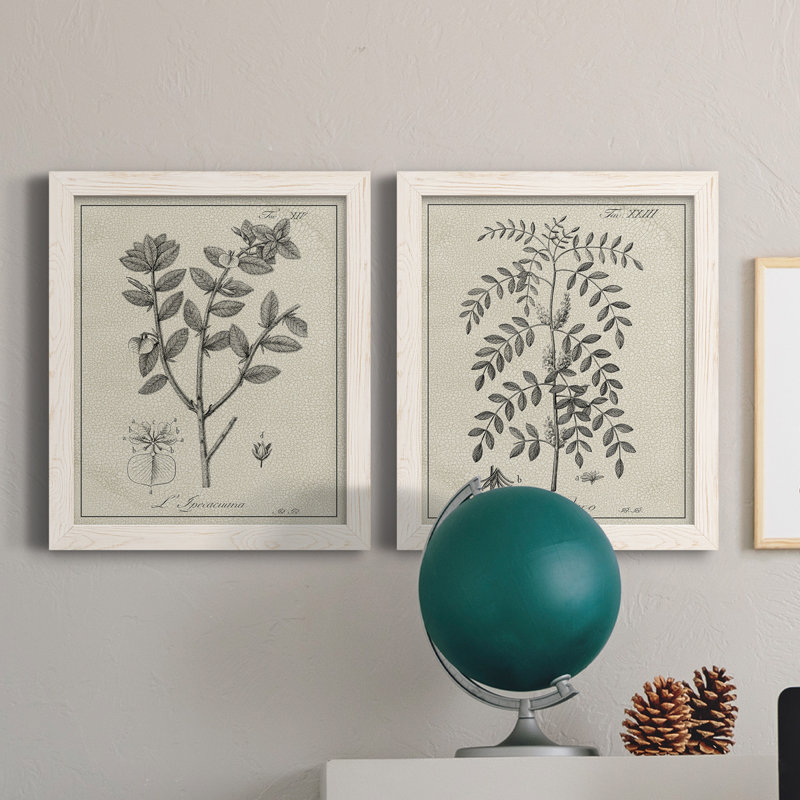 Antique botanique noir et blanc antique - ensemble de 2 reproductions d'art, H 20 po x l 17 po x P 1 po, Pas de tapis
