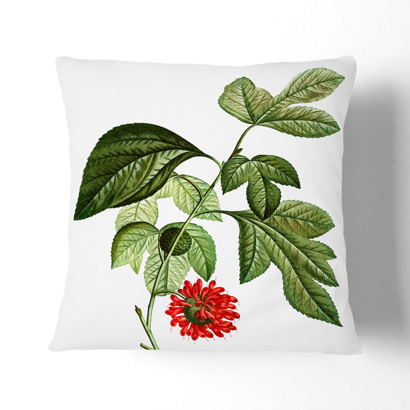 Square Throw Cushion, 55cm H x 55cm W x 20cm D, Black