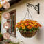 Metal Elevated Planter