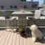 Customer photo 2 of 2