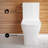 Concorde One-Piece Square Toilet