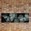 « eucalyptus night 2 », reproduction d’impression sur toile tendue-23605281