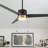 Dulac 52'' Ceiling Fan with LED Lights-742195572