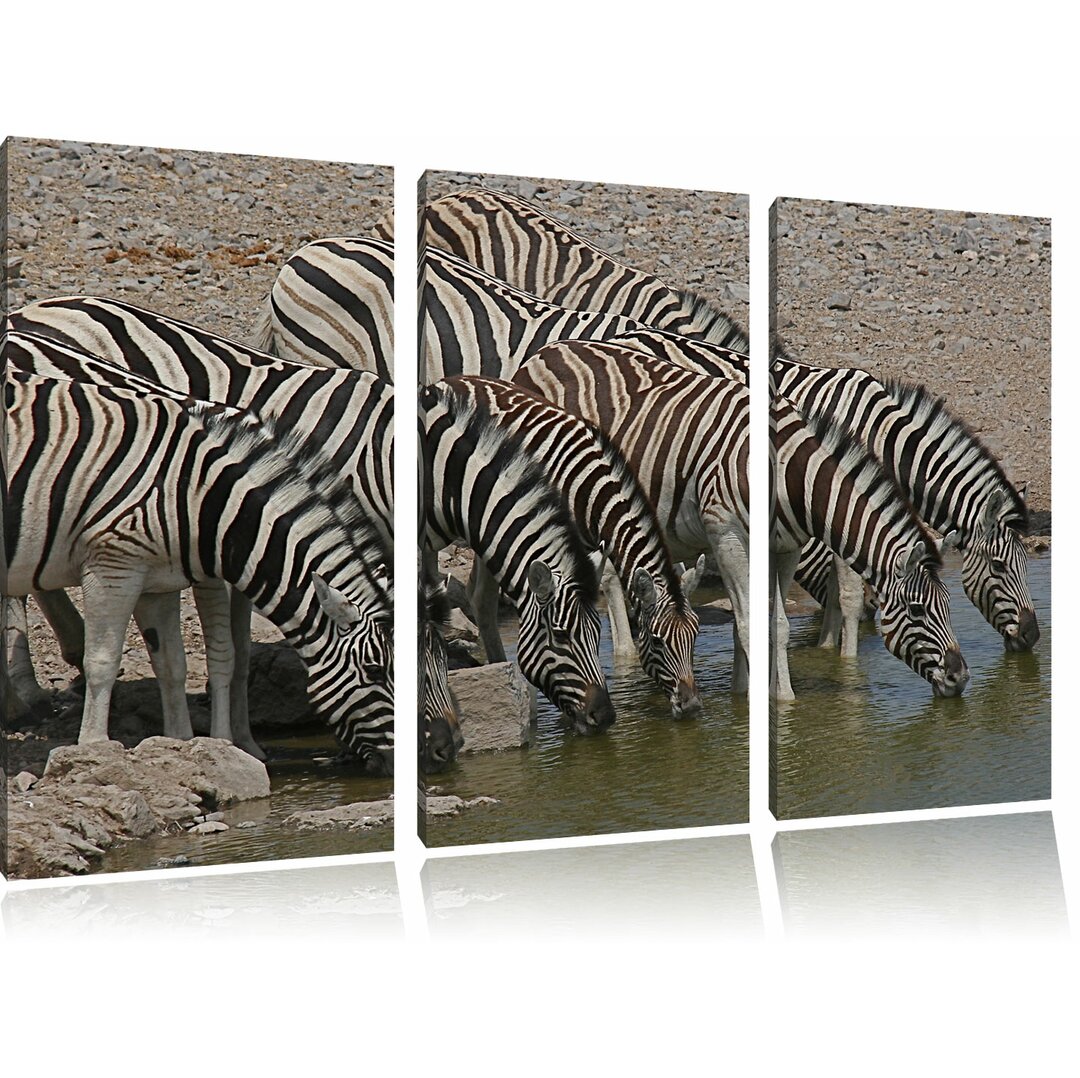 3-tlg. Leinwandbilder-Set „Zebrafamilie an einem Wasserloch“, Fotodruck