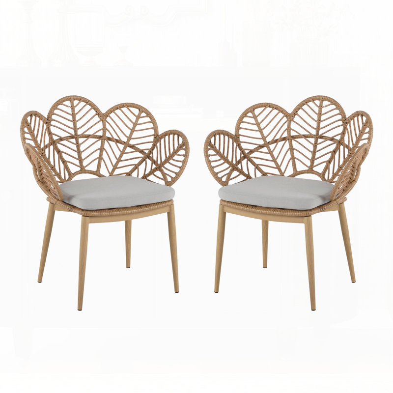 Ensemble de 2 chaises d'extérieur en osier