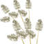 Faux Pinecone Spray   Set of 6   22"H   Silver