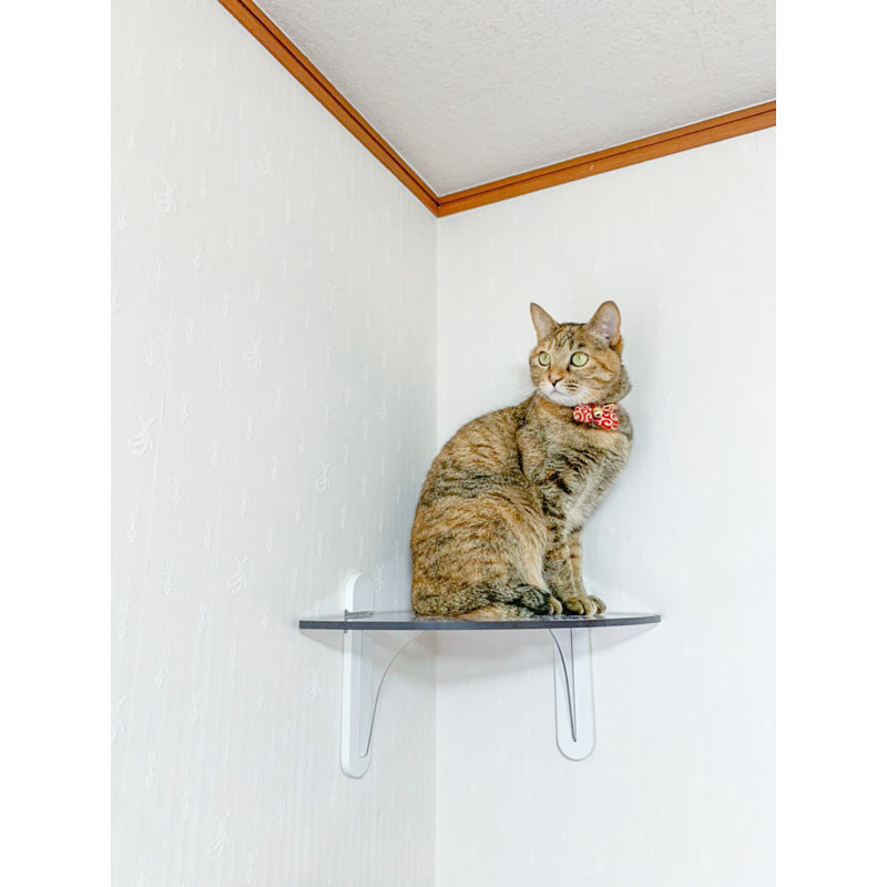 Marche pour chat pour coin