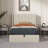 Daizia Lift Up Storage Platform Bed with Wingback Headboard-837495295-836261045