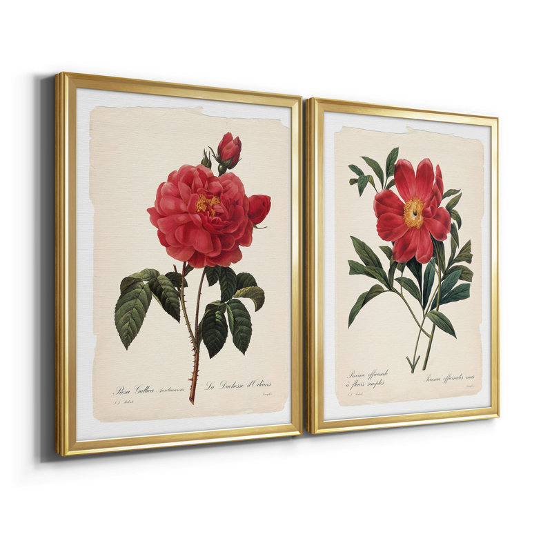 «Red Botanical III», ensemble de 2 reproductions d'art sur toile encadrées, Or, H 18,5 po x l 49 po x P 1,5 po