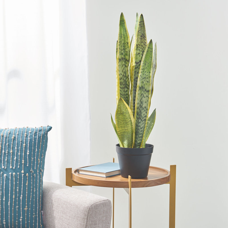 Plante de serpent artificielle, H 26 po x l 9 po x P 9 po