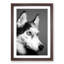 Husky Dog in Abstract - Framed Print-55769210-55769211