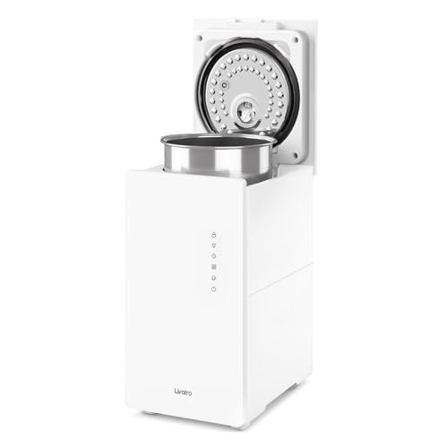 Livatro Warm Mist Humidifier