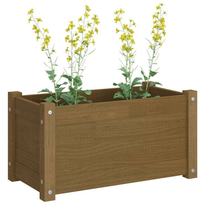Boîte à fleurs en bois Lisbon, H 12,2 po x l 23,6 po x P 12,2 po, Brun miel