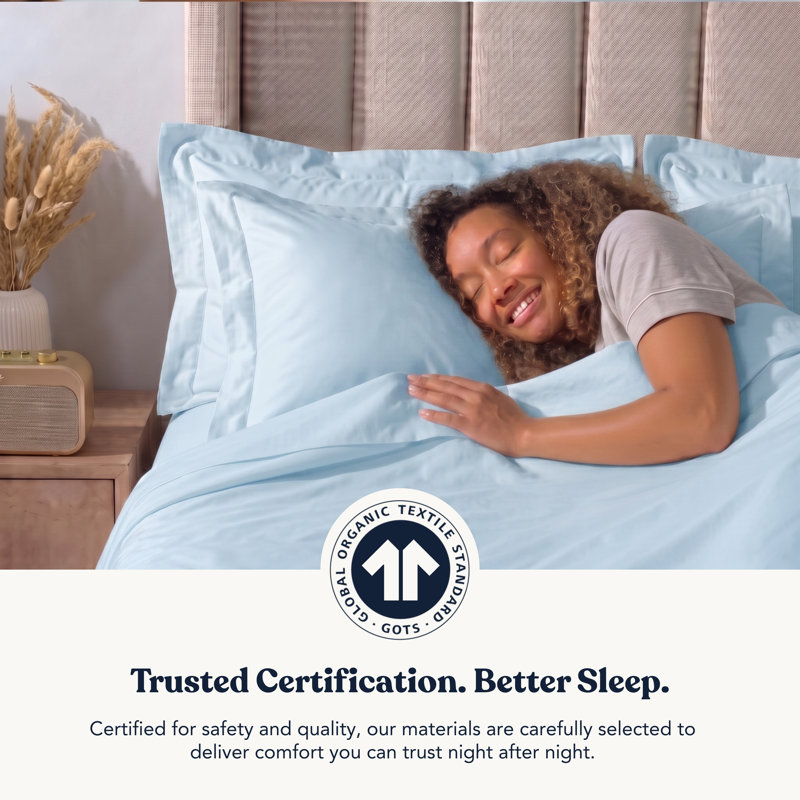 Delara GOTS Certified 100% Organic Cotton Sateen Sheet Set, 400TC Long Staple, Soft & Breathable with Deep Pocket, Light Blue