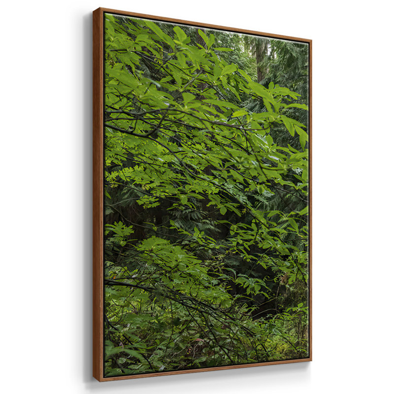 Calme de la forêt, peinture sur toile 3 pièces, H 40 po x l 78 po, Cadre noyer