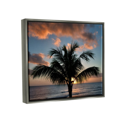 " Tropical Palm Photography " Color Photography Print