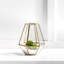 Photophore de plateau de table en verre 7,75" ouragan