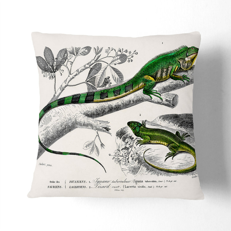 Iguana & Lizard by Charles D'Orbigny Cushion with Filling, White, 40cm H x 40cm W x 15cm D