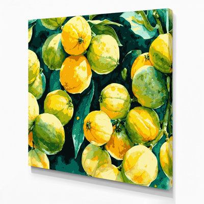 Fruit Calamansi Brown Canvas Wall Art