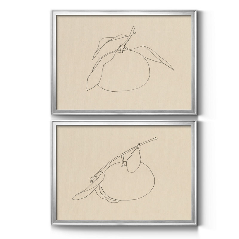 Citrus Contour I - ensemble de 2 reproductions de dessins encadrés, H 24,5 po x l 37 po x P 1 po, Chrome