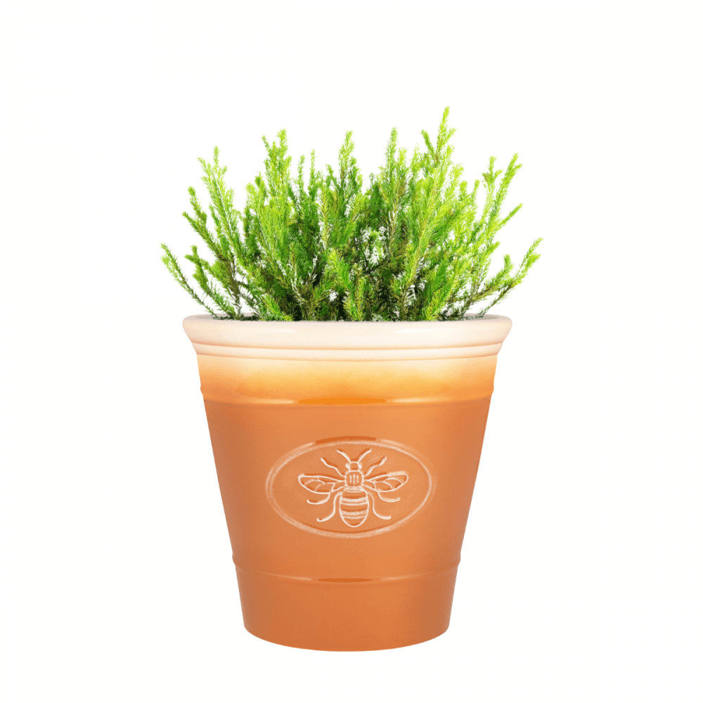 Pot Planter
