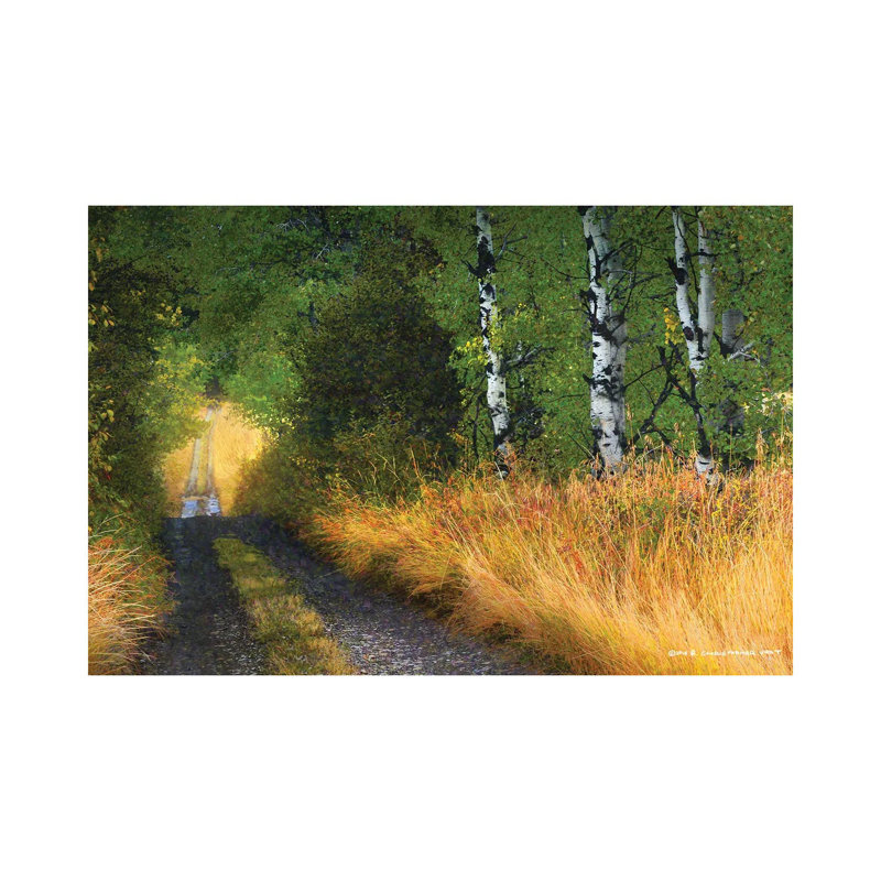 Road Thru The Trees by Christopher Vest - Wrapped Canvas Gallery-Wrapped Canvas Giclée, 30.48 cm H x 45.72 cm W