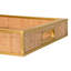 Tobin Decorative Tray
