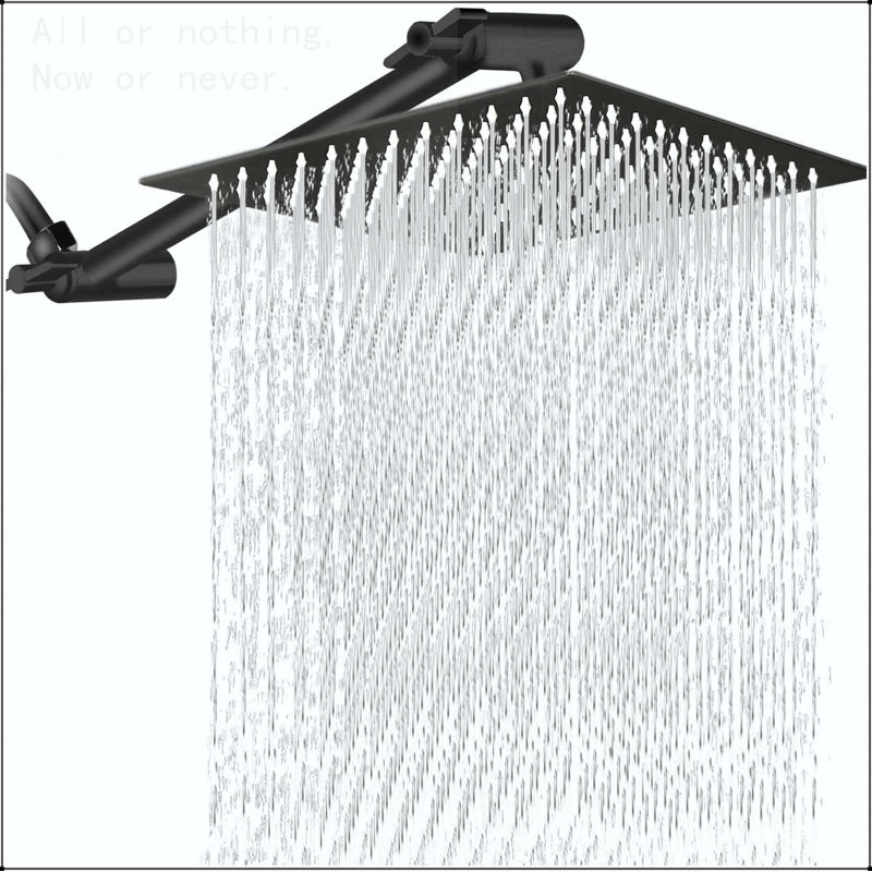 Pomme de douche carrée en acier inoxydable 10 po, Noir mat