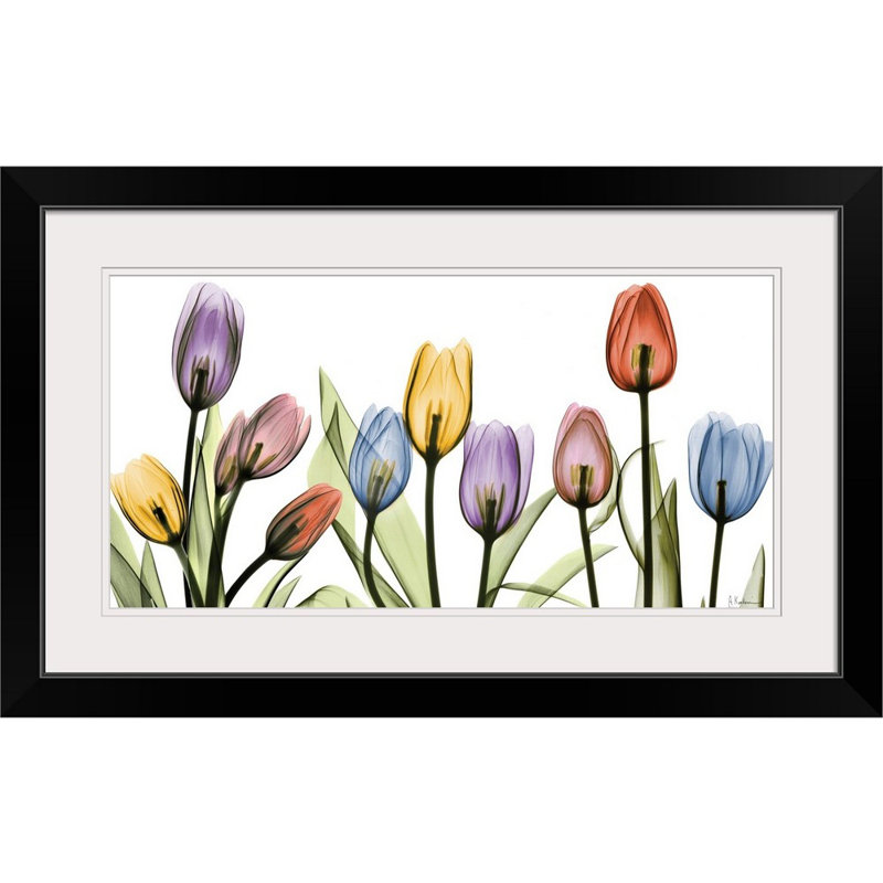 Tulipe - imprimé, H 20 po x l 32 po x P 1 po, Cadre noir