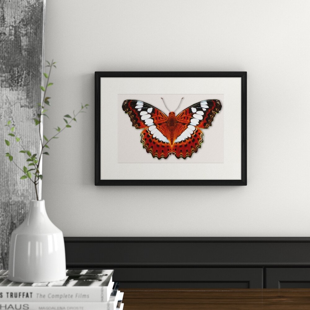 Gerahmtes Poster Schmetterling-Serie 36