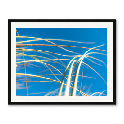 Dune Grasses Print by Petra Trimmel