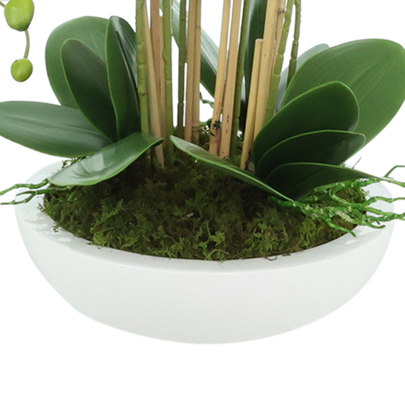 Orchid Arrangement in Round Fiberstone Pot, 27"H x 26"W x 26"D