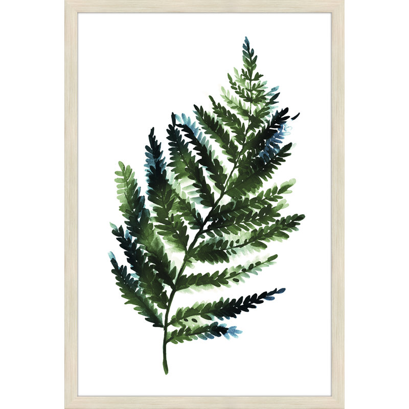 Fern Press, reproduction d’art sur toile encadrée, H 26 po x l 22 po x P 2 po
