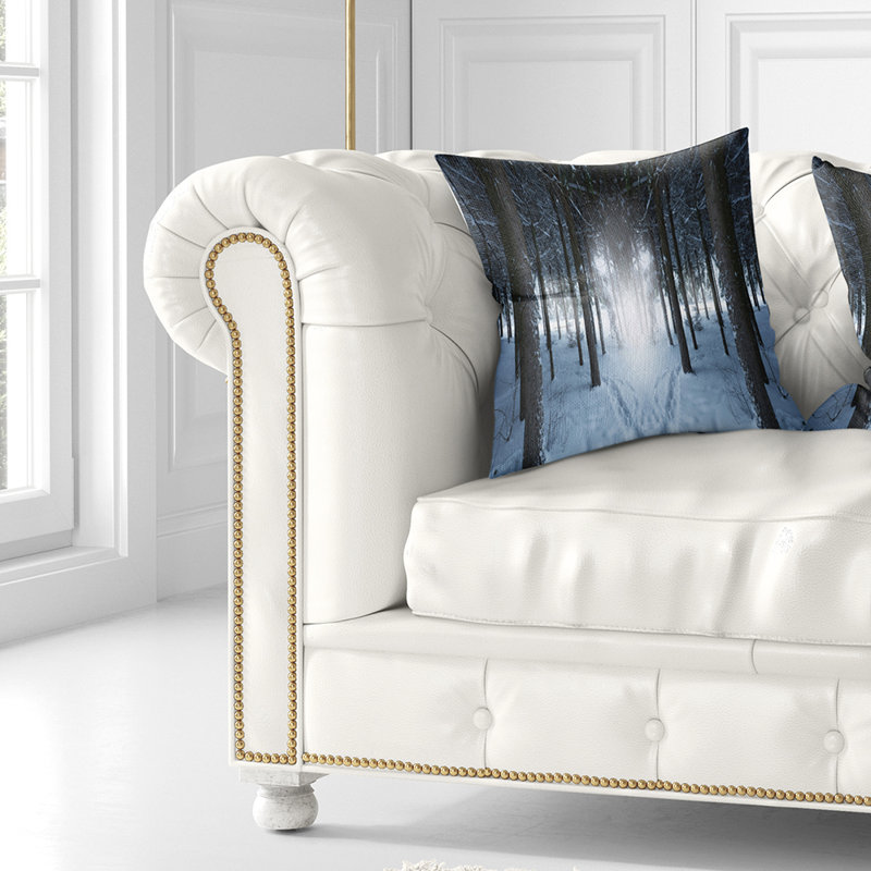 Coussin Schafer, 16 po x 1 po, Coussin décoratif