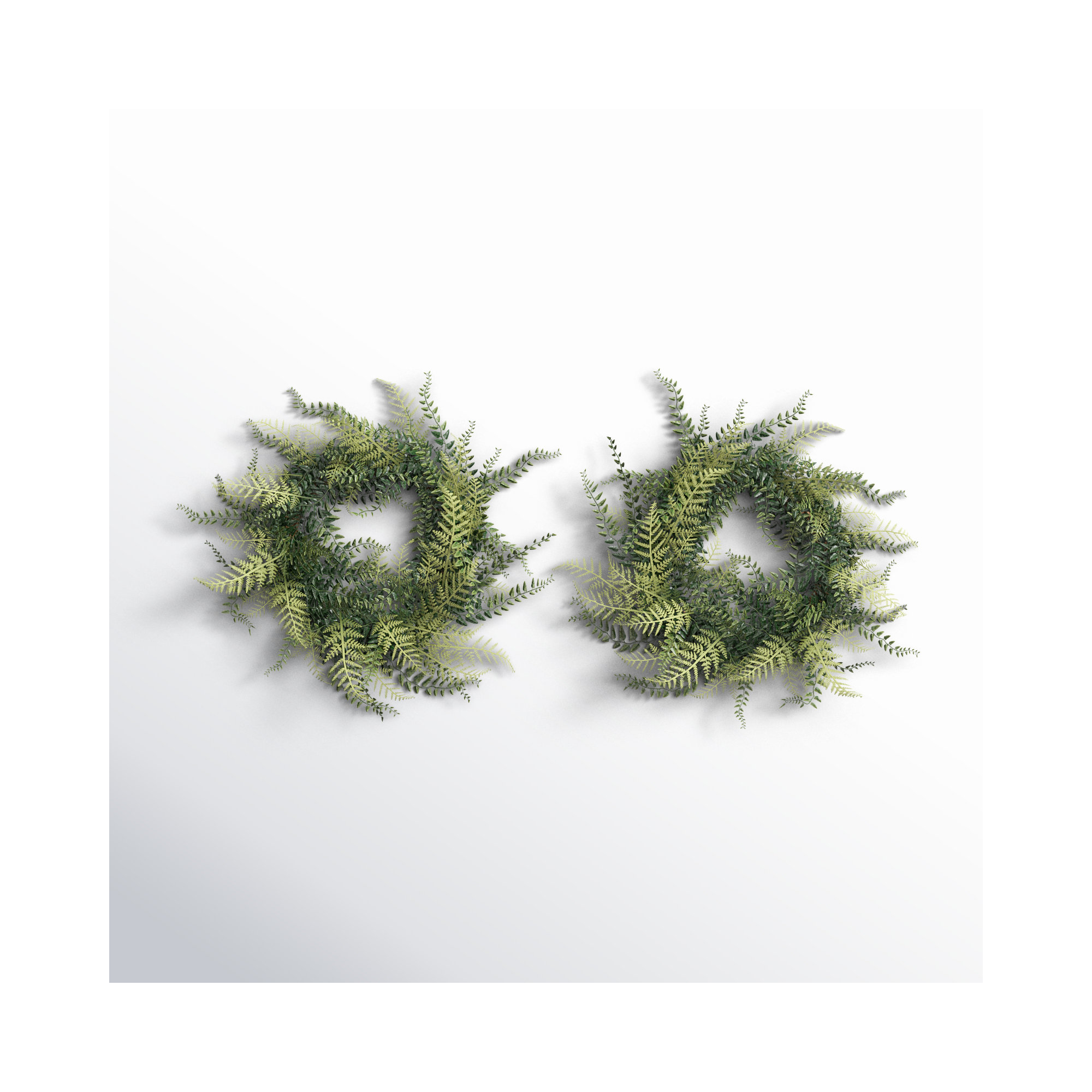 Artificial Buckler Fern and Grass Wreath, 18" H x 18" W x 4" D
