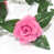 Rose est en rupture de stock