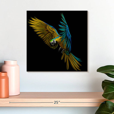 Crowle Wild Macaw