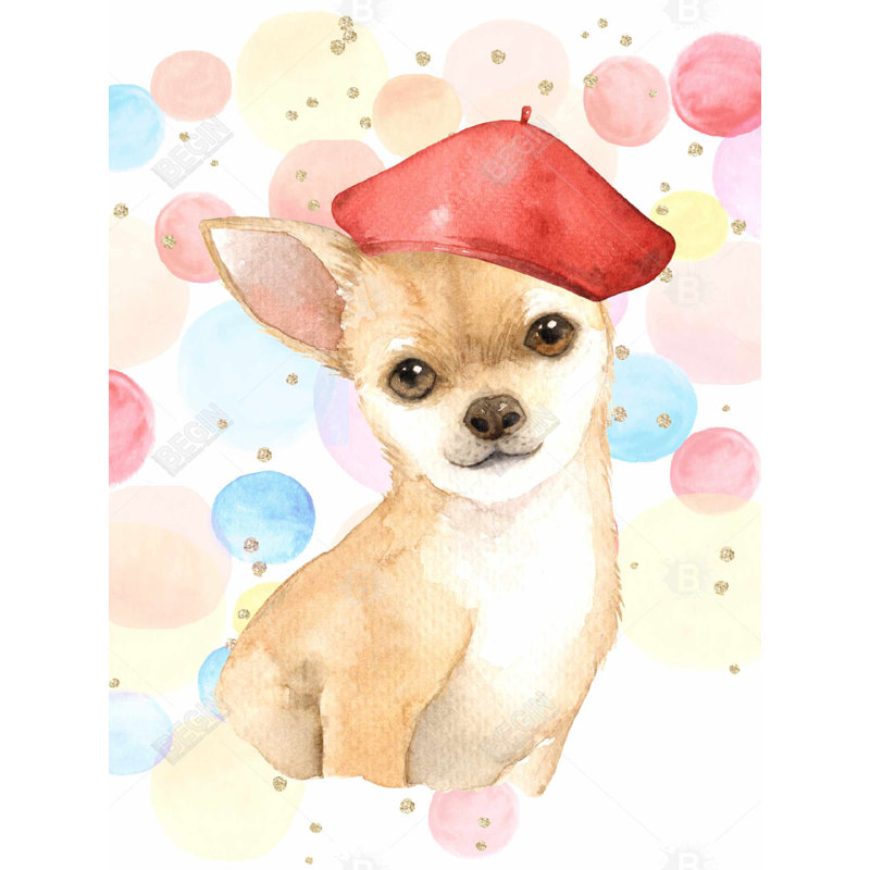 Couette pour chien Chihuahua